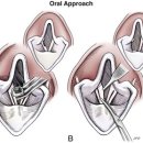 우리아이 동물메디컬센터 이미지