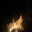 가인야영장 | 내장산 가인 야영장 후기⛺️