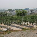 원곡식당 이미지