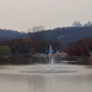 호수정감 이미지