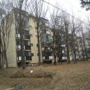 삼육사로07 이미지