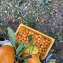 이슬농원 이미지