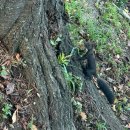 러브 어게인(주말) 이미지