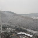 다정한행정사사무소 이미지