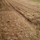 수암농장 이미지