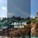 덕산 스플라스리솜 워터파크 사계절 온천수 충청도 파도풀 내돈내산후기
