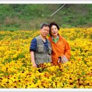 김*성 - 미추홀구 숙골로8번길 46 | 김*성