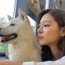 줄리 이미지