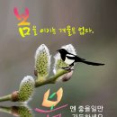 2월18일 뉴스브리핑 이미지