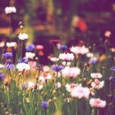 한울작은도서관 이미지