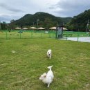 쌍백농장 이미지