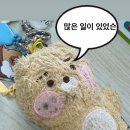 구일공업사 | 2025년 6월 기록 : 죽고싶다가 또 살아야겠다가