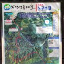 치악산둘레길 4코스 노구소길 | 치악산 둘레길 4코스 노구소길