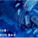 좋은미생물 이미지