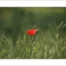 상동호수공원 이미지