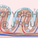 위메디컬 이미지