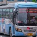 화성디젤 이미지