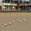 타케리아 뺀데호 이미지