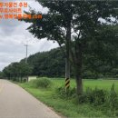 하의송락경로당 네이버블로그