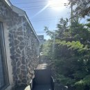 느긋하귀 이미지