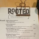 루티드(Rooted) 이미지