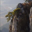 -386회- 2014년 2월 9일 전남 화순 용암산(암능) 정기산행 이미지