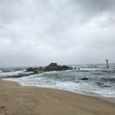 하평농장 이미지