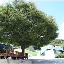 매곡마을회관 이미지