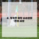 앙포레 모리노헤어 이미지