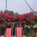 올래펜션 이미지