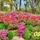 봄의노래 이미지