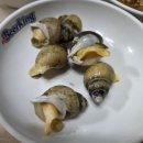호박포차횟집 | [안양 명학역 맛집] 안양 만안구 골목길 횟집 &#39;갯벌회포차&#39;솔직후기