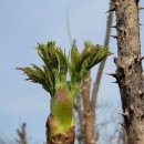 외갓집농장 이미지