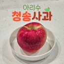 송하 | 가정용 맛있는 청송 사과 추천 아리수 &#39;송하농원&#39; 내돈내산 후기