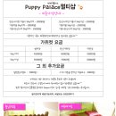 팰리스애견용품