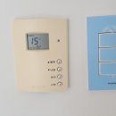 판교원로81번길 이미지