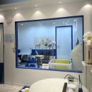 뽀송 애견미용 | 청라 애견 스파, 위생 미용 후기! 개설렘에서 강아지 케어 받은 날