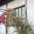 됐다됐다 뽑기샵 이미지