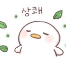먹돌새기