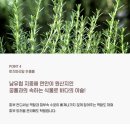 (주)레드팩 이미지