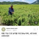 대승식품 이미지