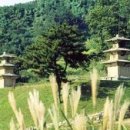 서쪽하늘 제1호 이미지