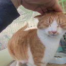 금동이네
