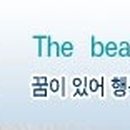 (주)아이피동서통운 Daum카페