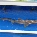 완도수산 이미지