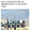 청소하다 이미지