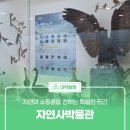 한남대학교 자연사박물관 이미지