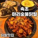 마리숯불닭발 | [속초 마리숯불닭발] 교동 닭발 맛집