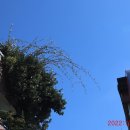 동그리생생 이미지