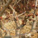 워터펜션 이미지